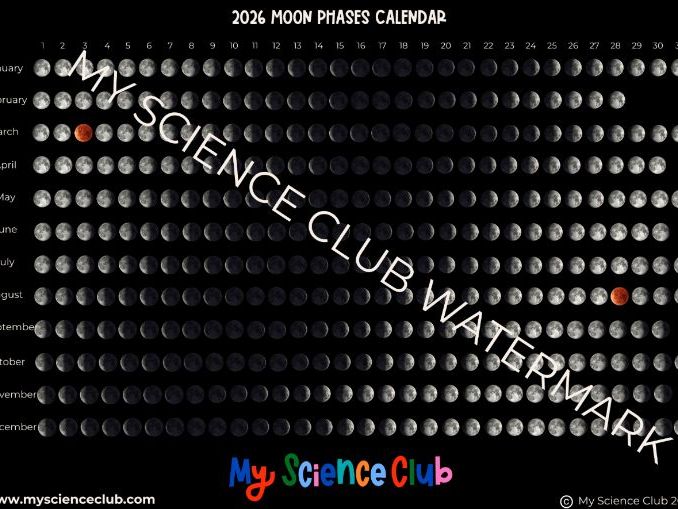 Northern Hemisphere Moon Calendar 2026