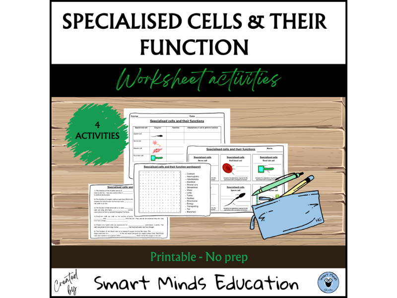 SPECIALISED CELL STRUCTURE AND FUNCTION ACTIVITY PACK | 4 PRINTABLE CELL WORKSHEETS