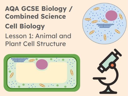 Animal and Plant Cells: Cell Structure