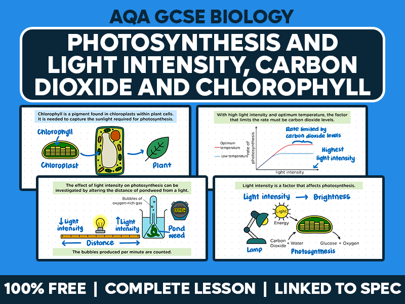 GCSE AQA Biology Complete Lesson - Photosynthesis and Light Intensity, Carbon Dioxide and Chlorophyl