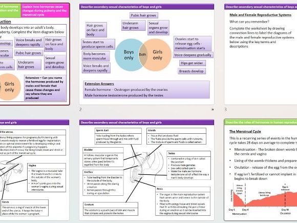 AQA Trilogy 4.5 L7 Hormones in Reproduction