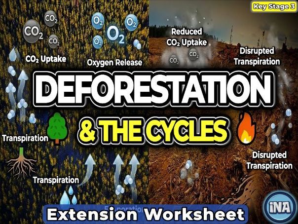 Deforestation and the Carbon and Water Cycles - KS3 Biology Extension Pack