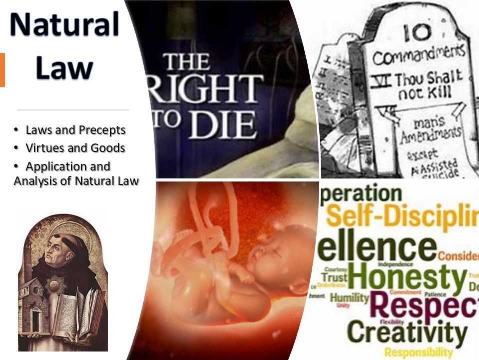Natural Law Bundle