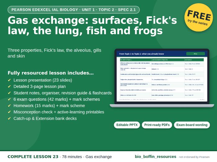 IAL Biology Edexcel – Gas Exchange Surfaces