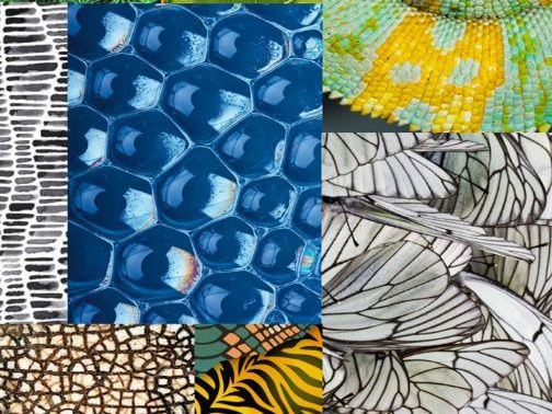 Art and textiles lesson booklet - natural forms designs
