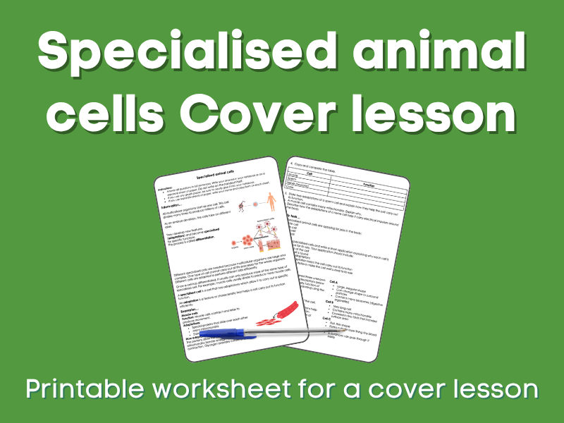 Specialised animal cells Cover lesson