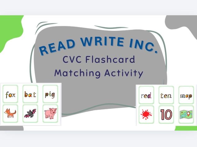 RWI CVC Word Matching Flashcards