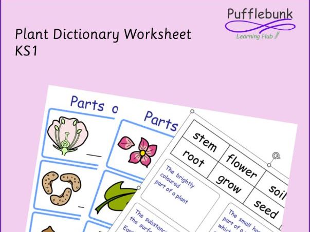 Plant Dictionary Worksheet KS1