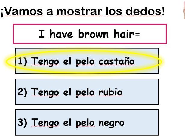 Year 7 Spanish Lesson 10 - Hair Eyes
