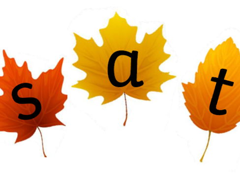 satpin Autumn Leaves