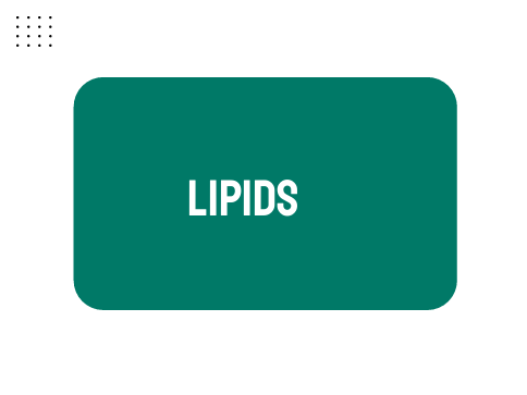 AP Biology Unit 1: Lipids