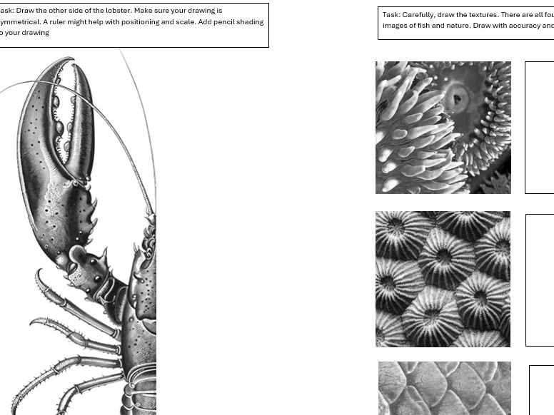 Art and Design - Cover Worksheet/Skills Recall. Under the Sea theme.