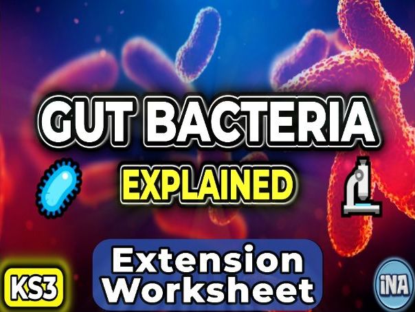 Bacteria in the Digestive System - Complete KS3 Biology Lesson Pack