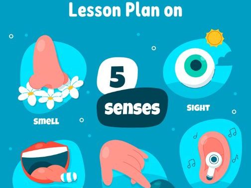 90' Lesson on The Five Senses