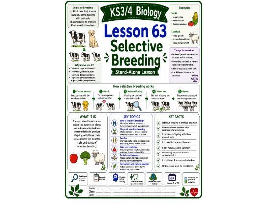 Selective breeding cover lesson (L63) Biology