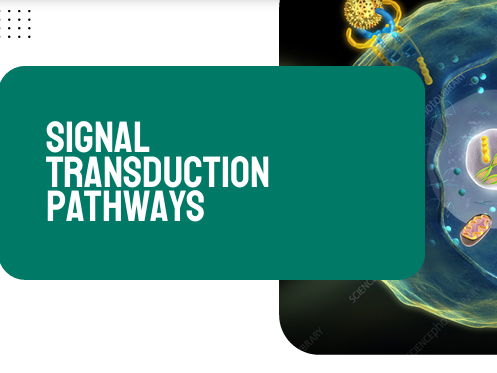 AP Biology Unit 4: Signal Transduction Pathways