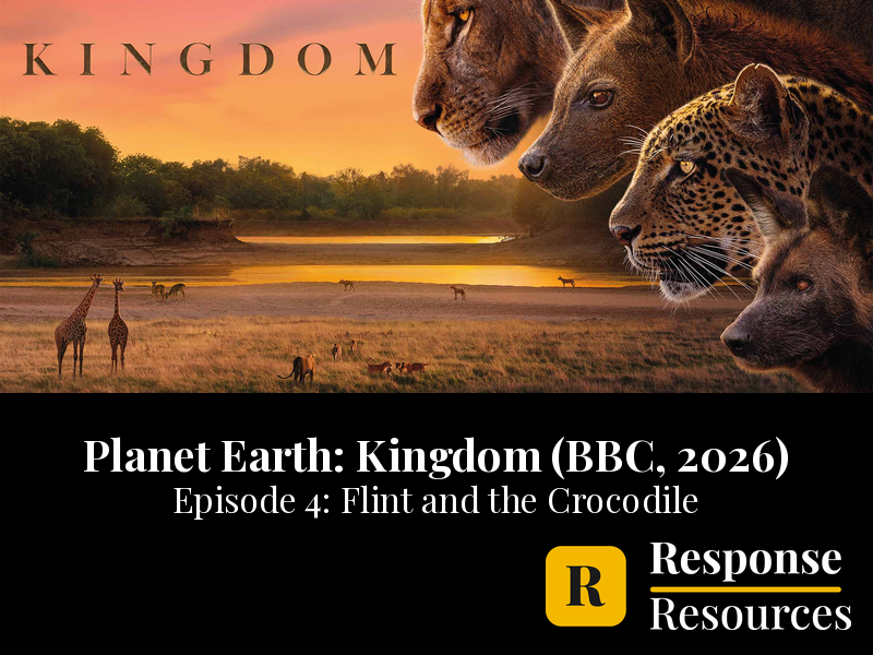 Planet Earth Kingdom Ep 4 Flint and the Crocodile Worksheet + Google Forms