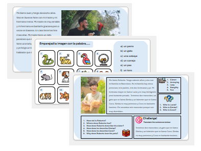 Pets (Spanish) - Complete Unit with Assessment & Mark Scheme (also suitable for cover lessons)