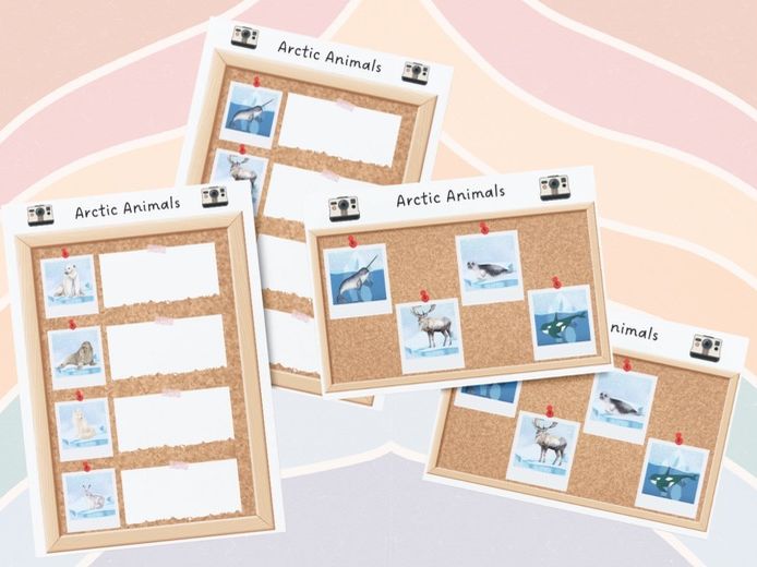 Polar - Arctic Animal Photo Board Labelling