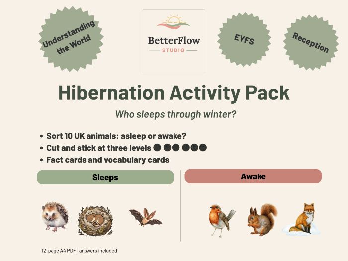 EYFS Hibernation Activity Pack: Reception
