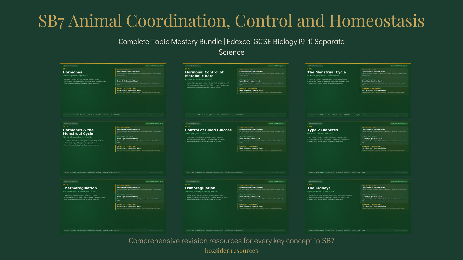 SB7 Animal Coordination, Control and Homeostasis | Complete Topic Mastery Bundle | Edexcel GCSE Biology (9–1) Separate Science