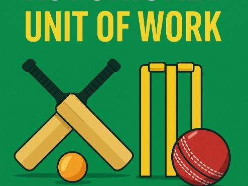 Batt and run Cricket Game