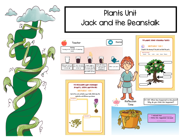 Year 1 Plants Unit - Jack and the Beanstalk