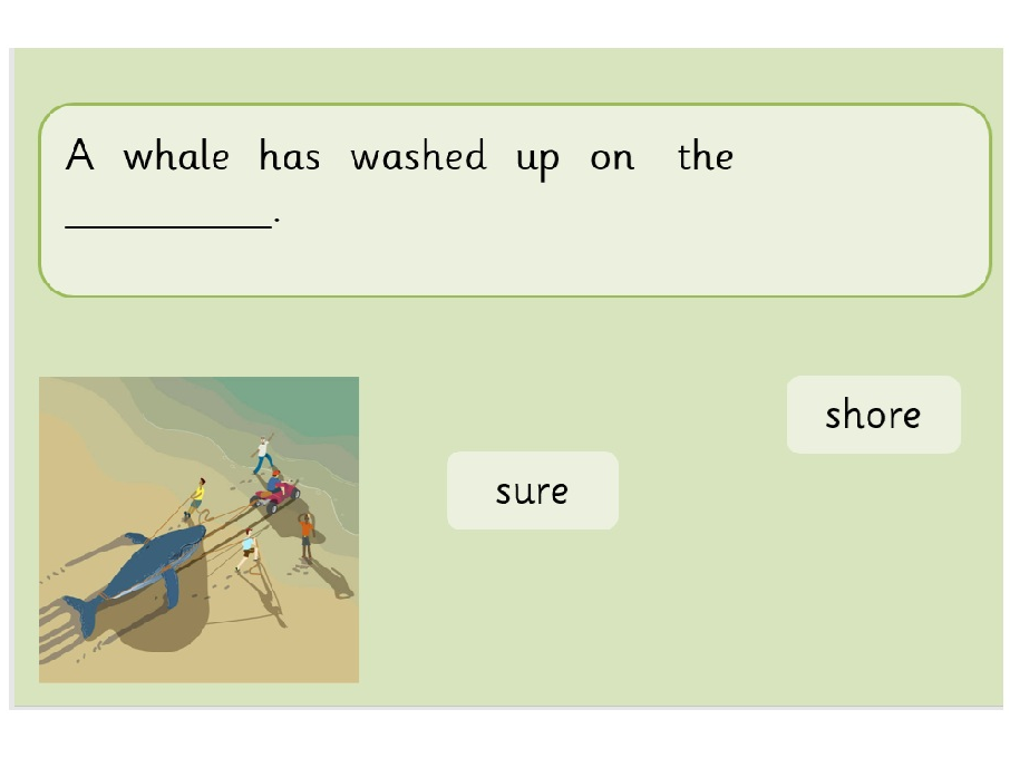 Homophones and near homophones KS1