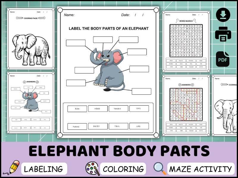 Elephant Body Parts Worksheet, Labeling Activity, Coloring Page, Word Search Printable (PDF)