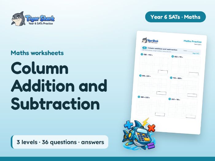 Column Addition and Subtraction Worksheets