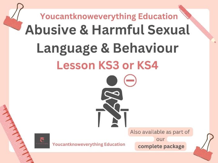 Harmful Sexual Language & Behaviour KS3