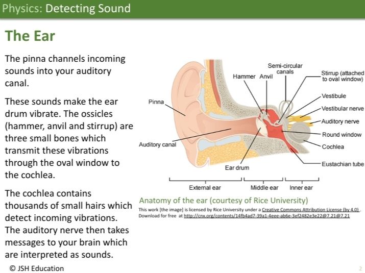 KS3 Physics: Detecting Sound