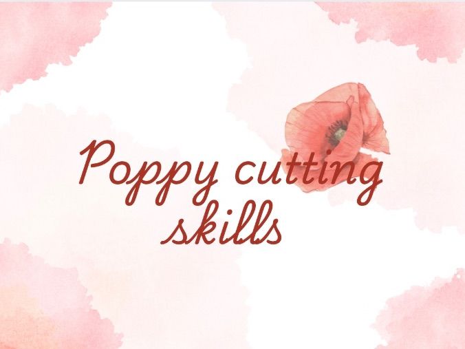 Poppy cutting skills activity