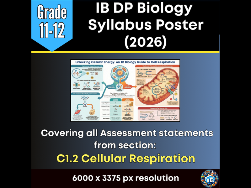 IB DP Biology Digital Infographic Poster: C1.2 Cell Respiration  (2026)