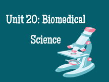 BTEC U20 Biomedical Science Pack