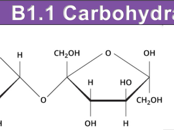 B1.1 Carbohydrate and Lipids STUDENT BOOKLET and TEACHING NOTES