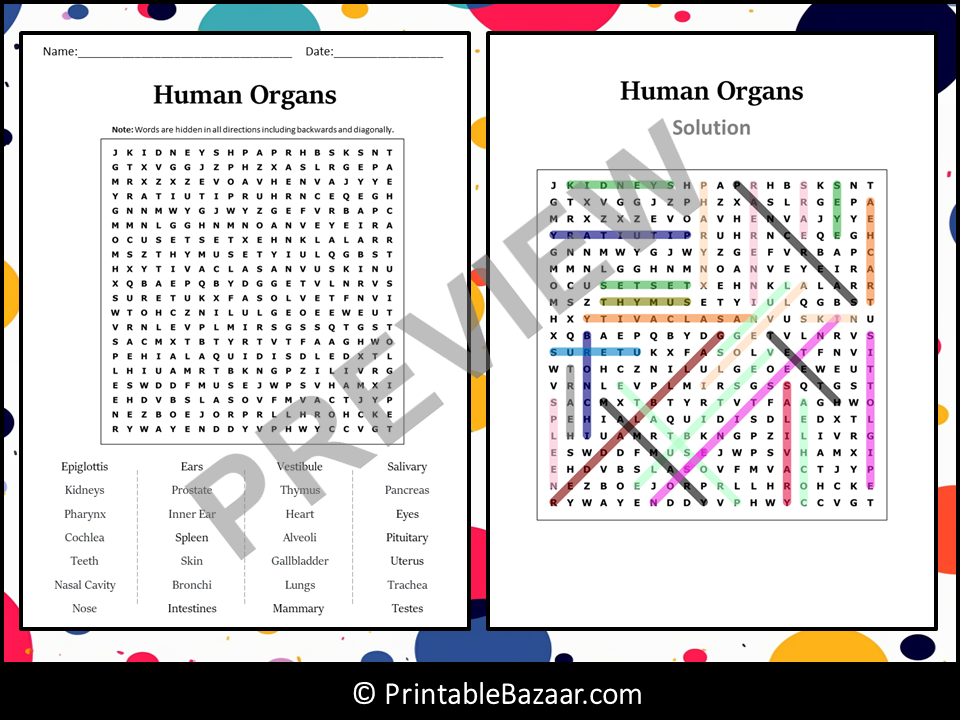 Human Organs Word Search Puzzle Worksheet Activity | Teaching Resources