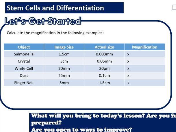 Stem Cells & Differentiation- AAQ Applied Science