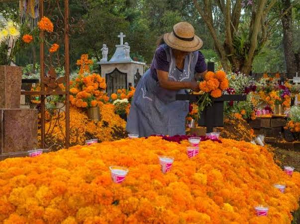KS5 Día de muertos reading comprehension