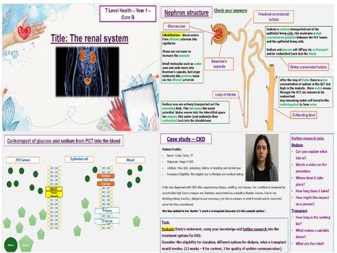 The Renal System & CKD - T Level Health - Core B Science Concepts- B2.20 - B2.22