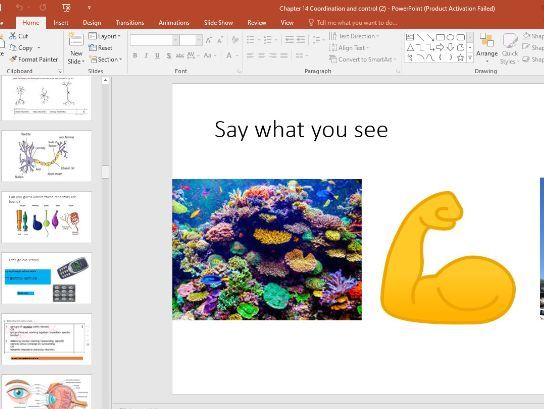 IGIGCSE Biology – Coordination & Control | Full Lessons + Exam Practice + Stretch Tasks