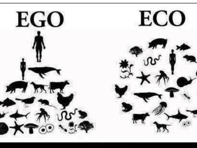 ESS 3.2 Human Impact on Biodiversity first exams 2026