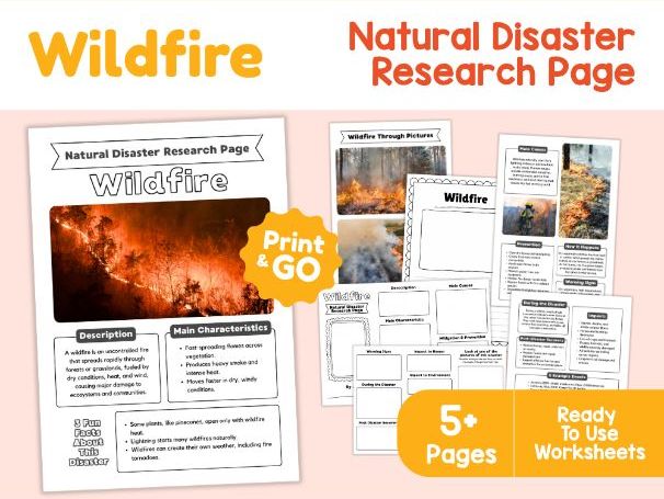 Wildfire Worksheets | Forest Fire Causes, Effects and Prevention