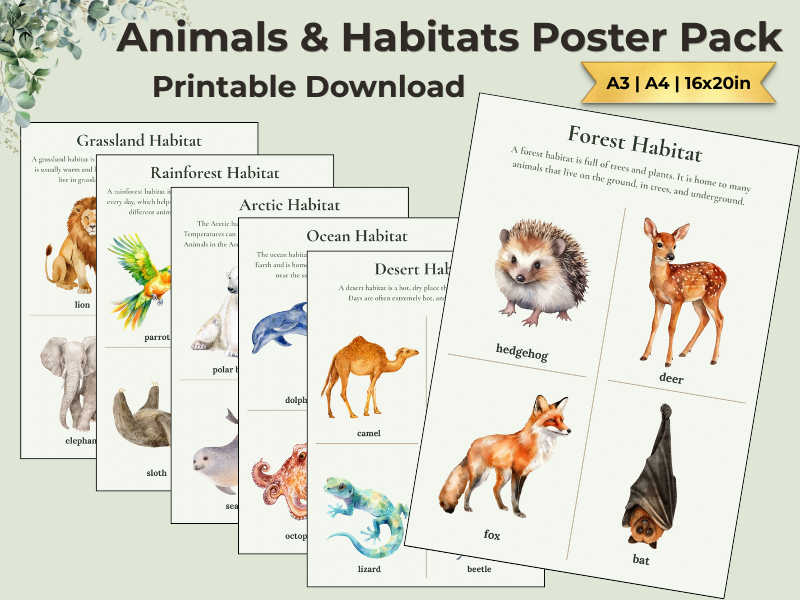 Animals & Habitats Posters | KS1 Science