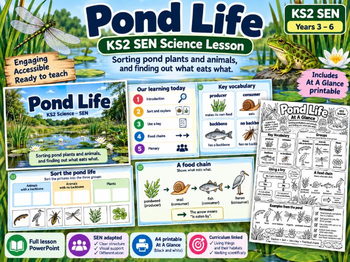 Pond Life KS2 SEN