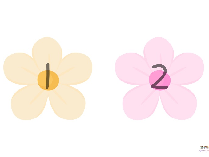 Numbered flower cut outs