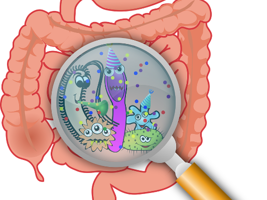 Teaching the Digestive System Through Movement