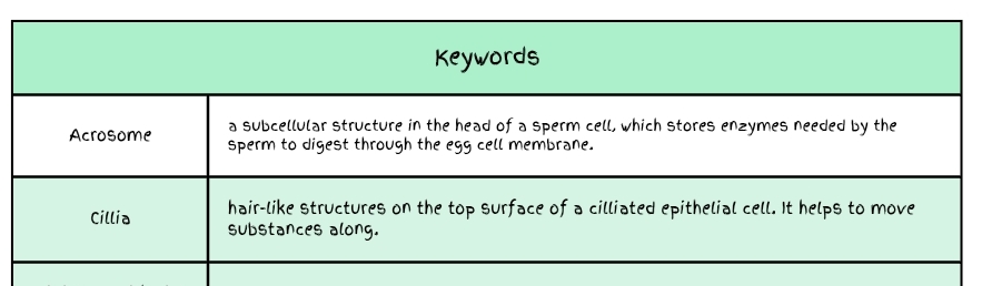GCSE Biology Specialised Cells Revision Pack (Sperm, Egg and Cilliated ...