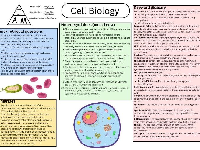 T level health core B knowledge organiser