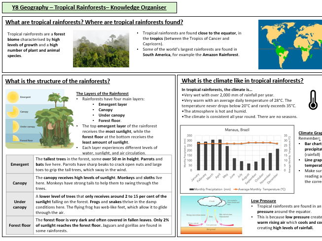 Rainforests Knowledge Organiser and Revision Quiz
